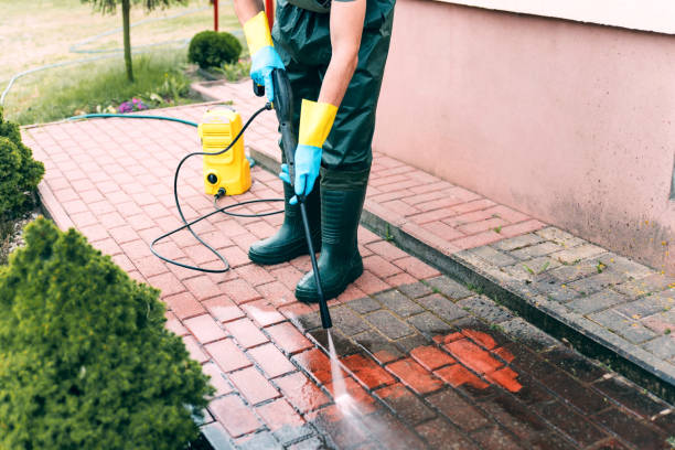 Best Roof Pressure Washing  in USA